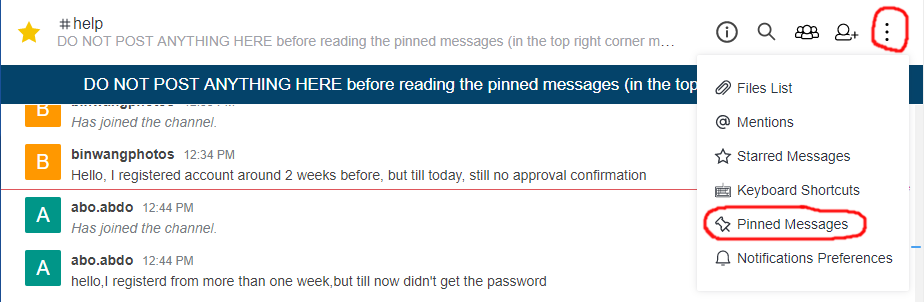 pinnedmessages.png