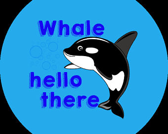 hello whale.jpg
