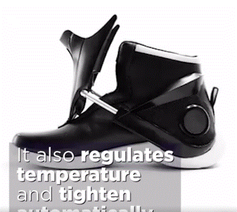 shoes2.GIF