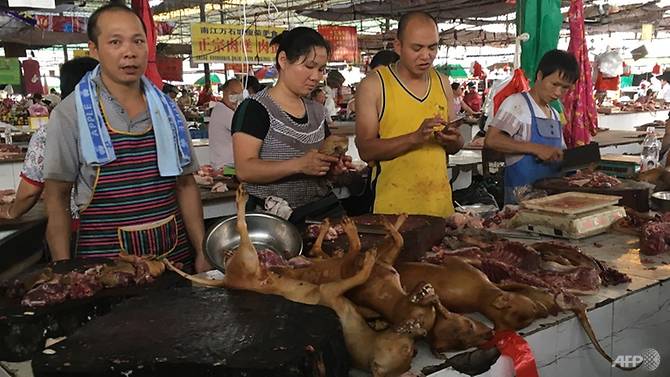 yulin-dog-festival-2017.jpg