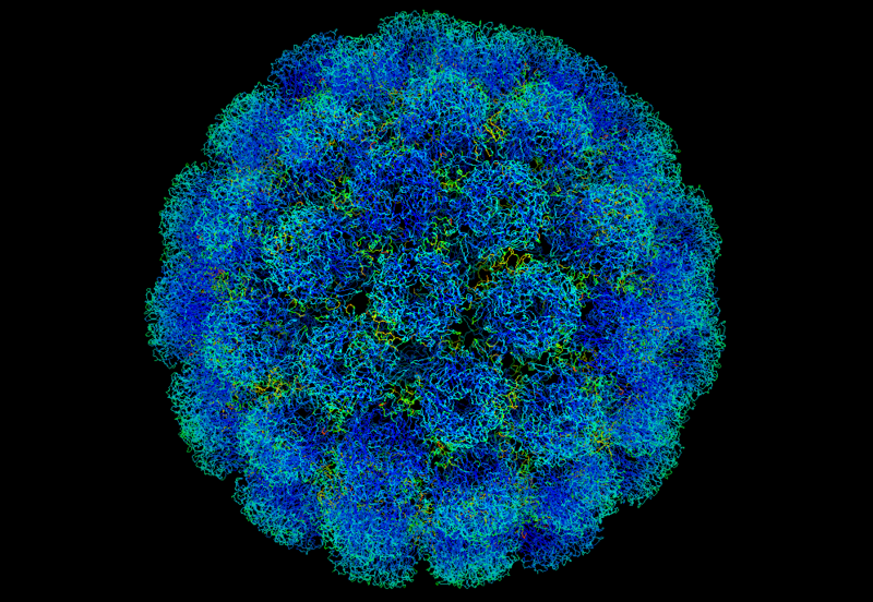 800px-Symian_virus.png