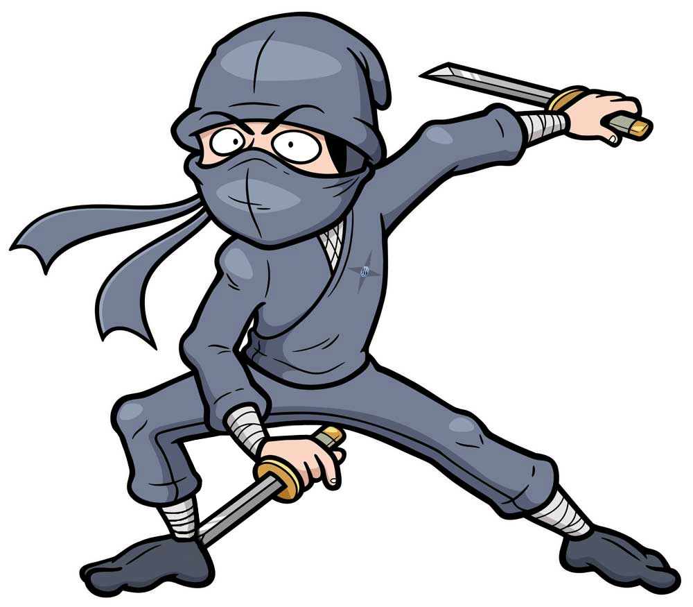 sneaky ninja theif