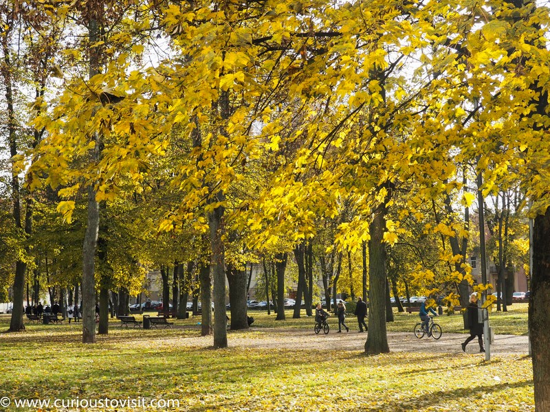 1511_Lithuania_Vilnius_Kvedarna_kapines-1010164 (Copy).jpg