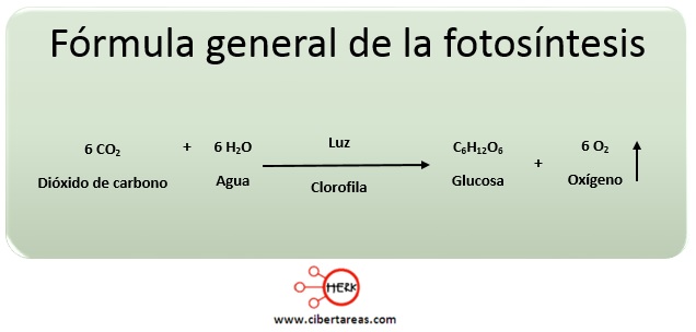 formula-general-de-la-fotosintesis.jpg