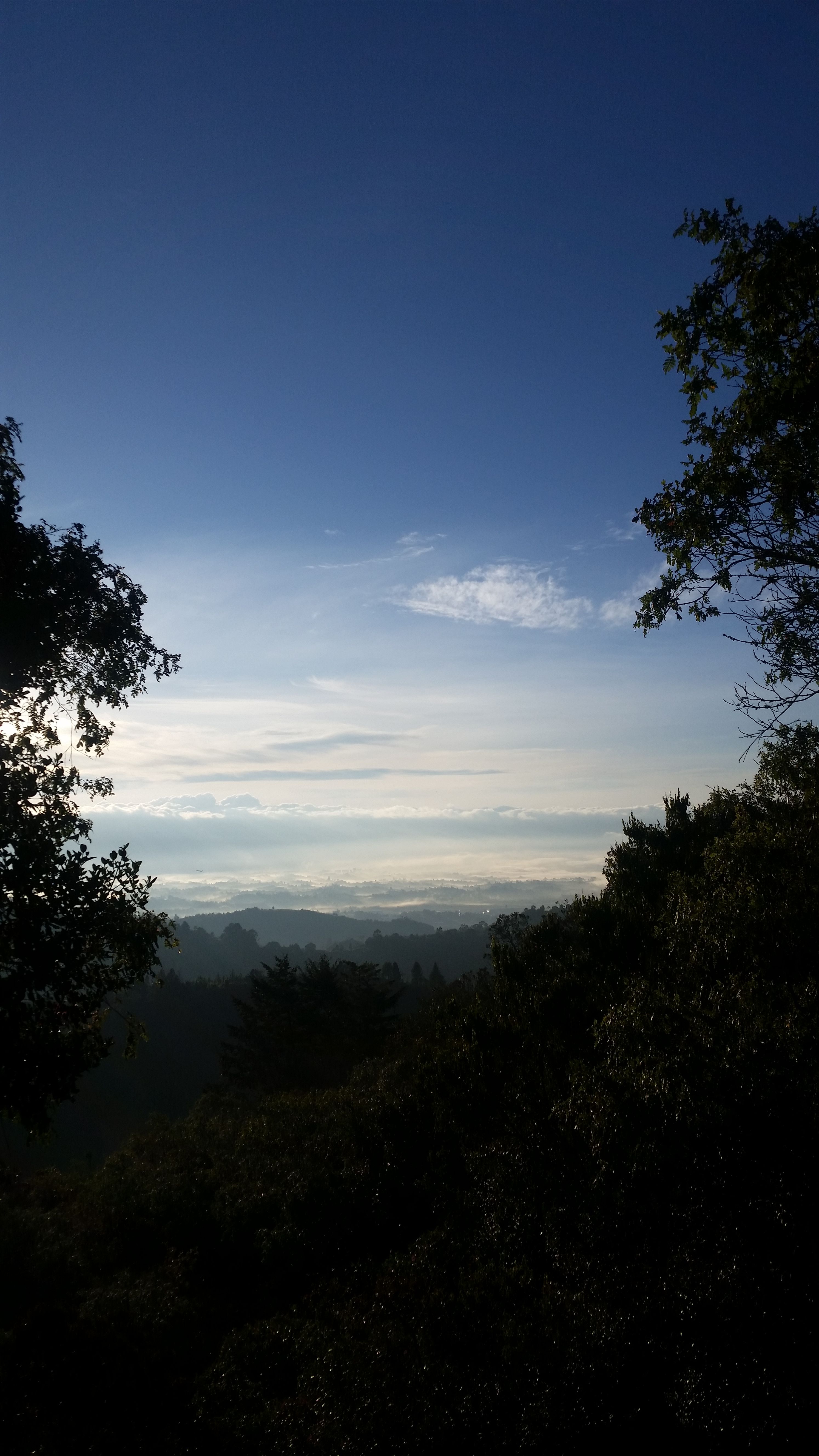 20170914_062125.jpg