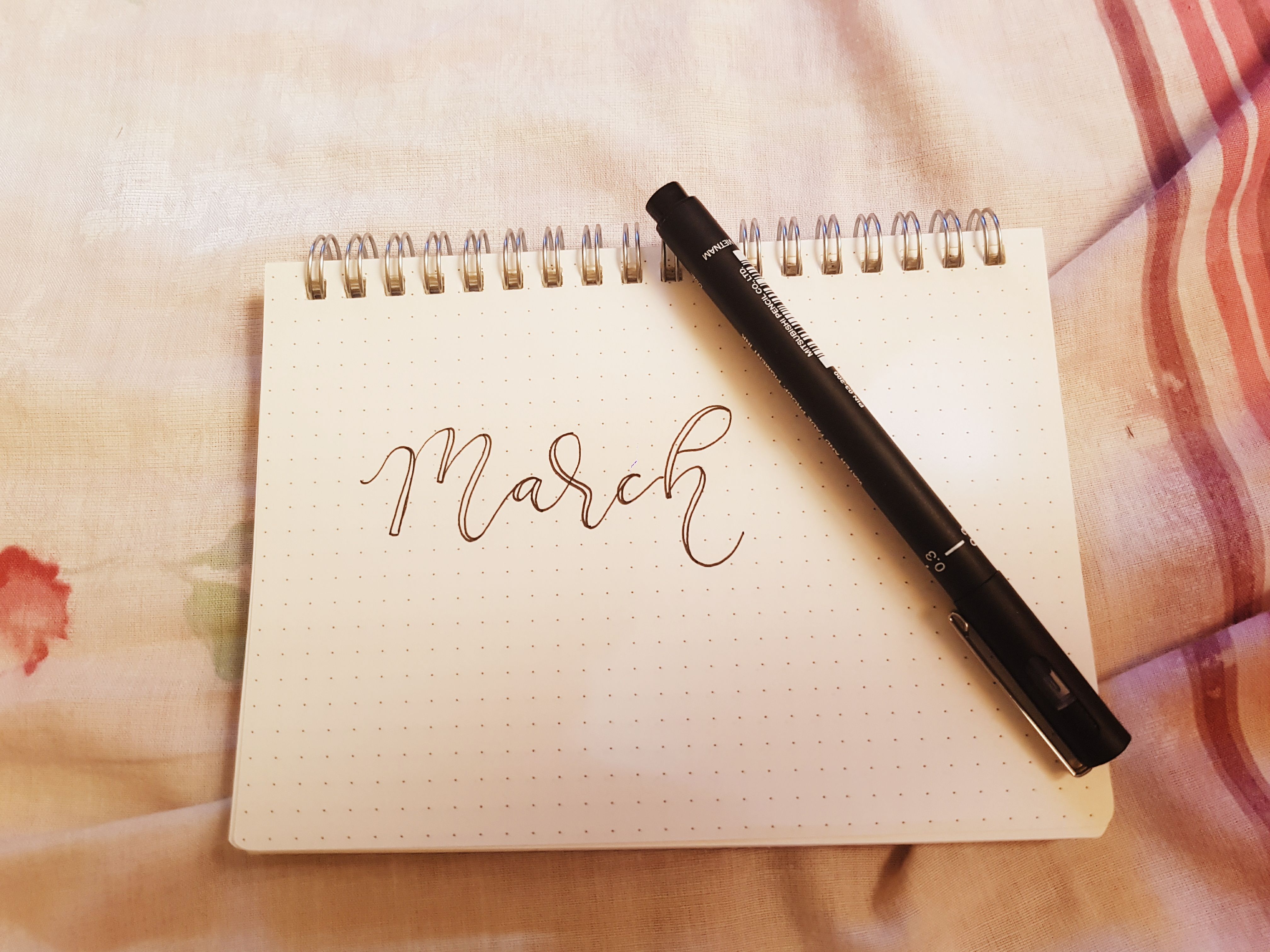 2018-03-23 10.20.51 1.jpg