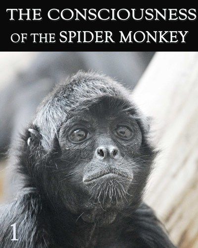 full_consciousness-of-the-spider-monkey-part-1.jpg