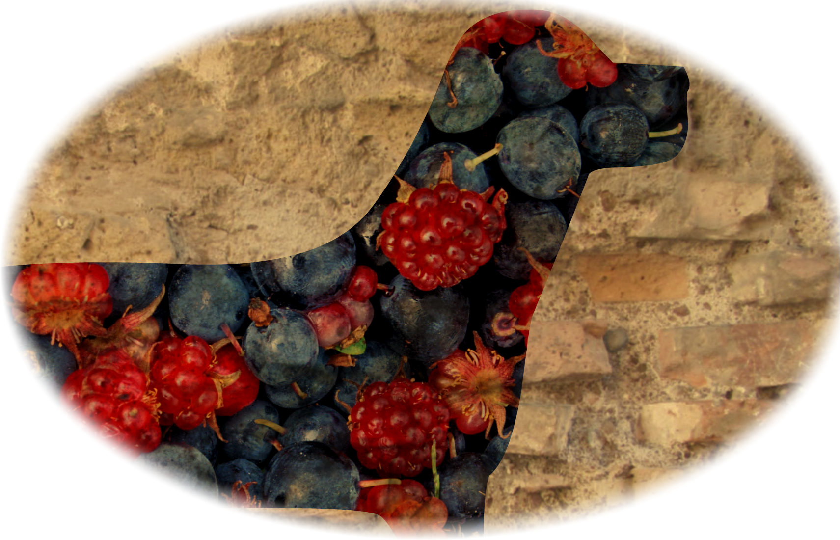 dog berries12.png