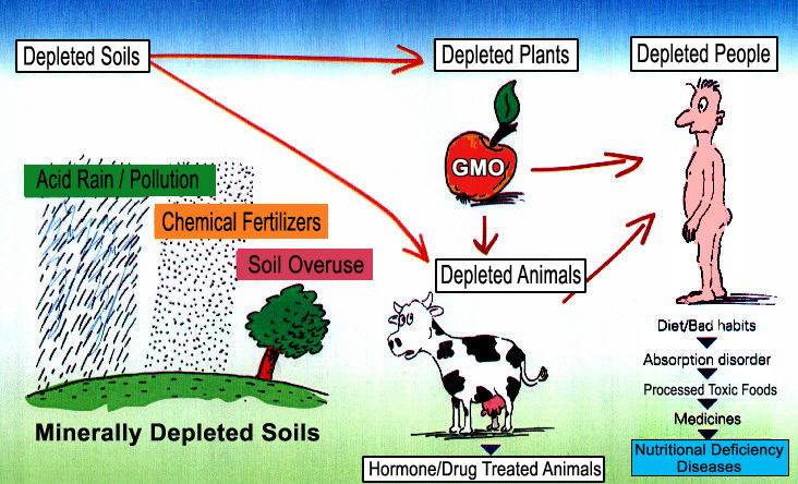 Nutrient-Deficiency-Process.jpg