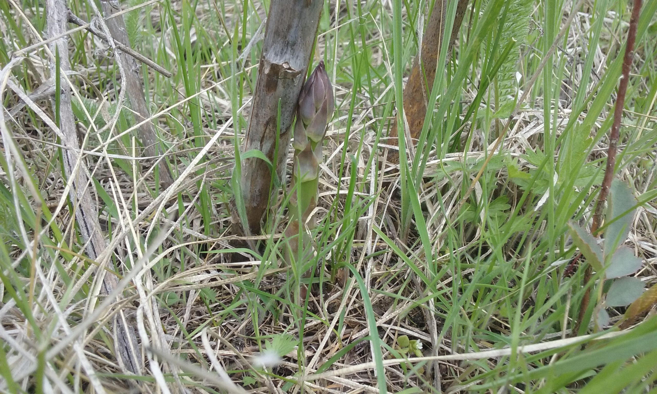 20180428_133238.jpg