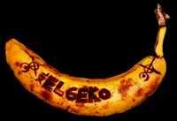 ELgeko-banana-verysmall.jpg