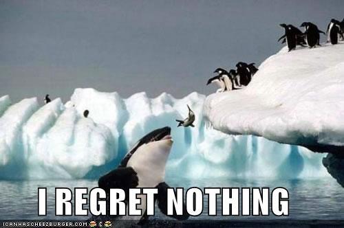 meme-regret-whalepenguin.jpg
