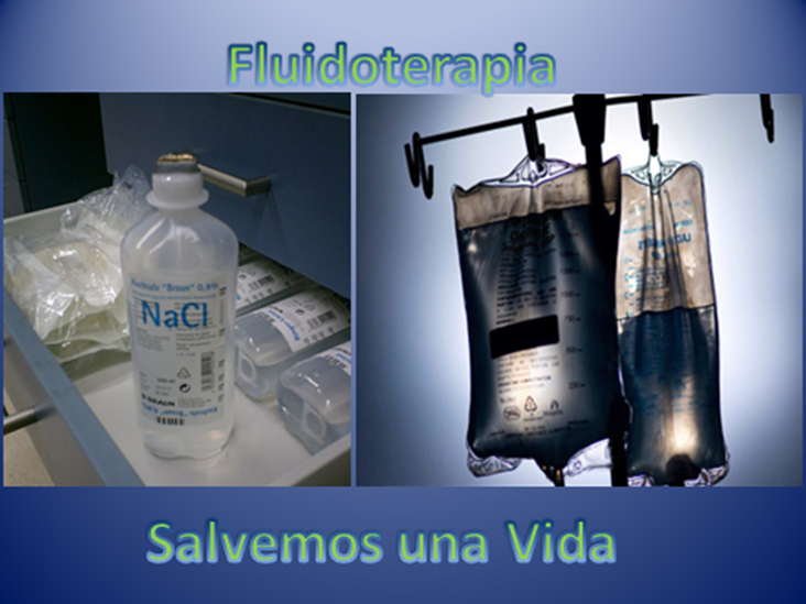 FLUIDOTERAPIA