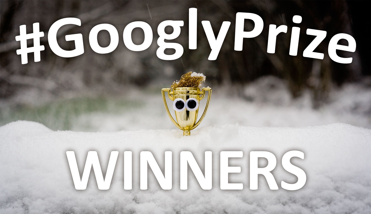 GooglyPrize Winners 22