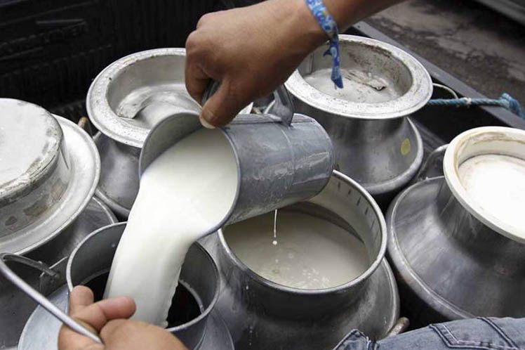 produccion-de-leche.jpg