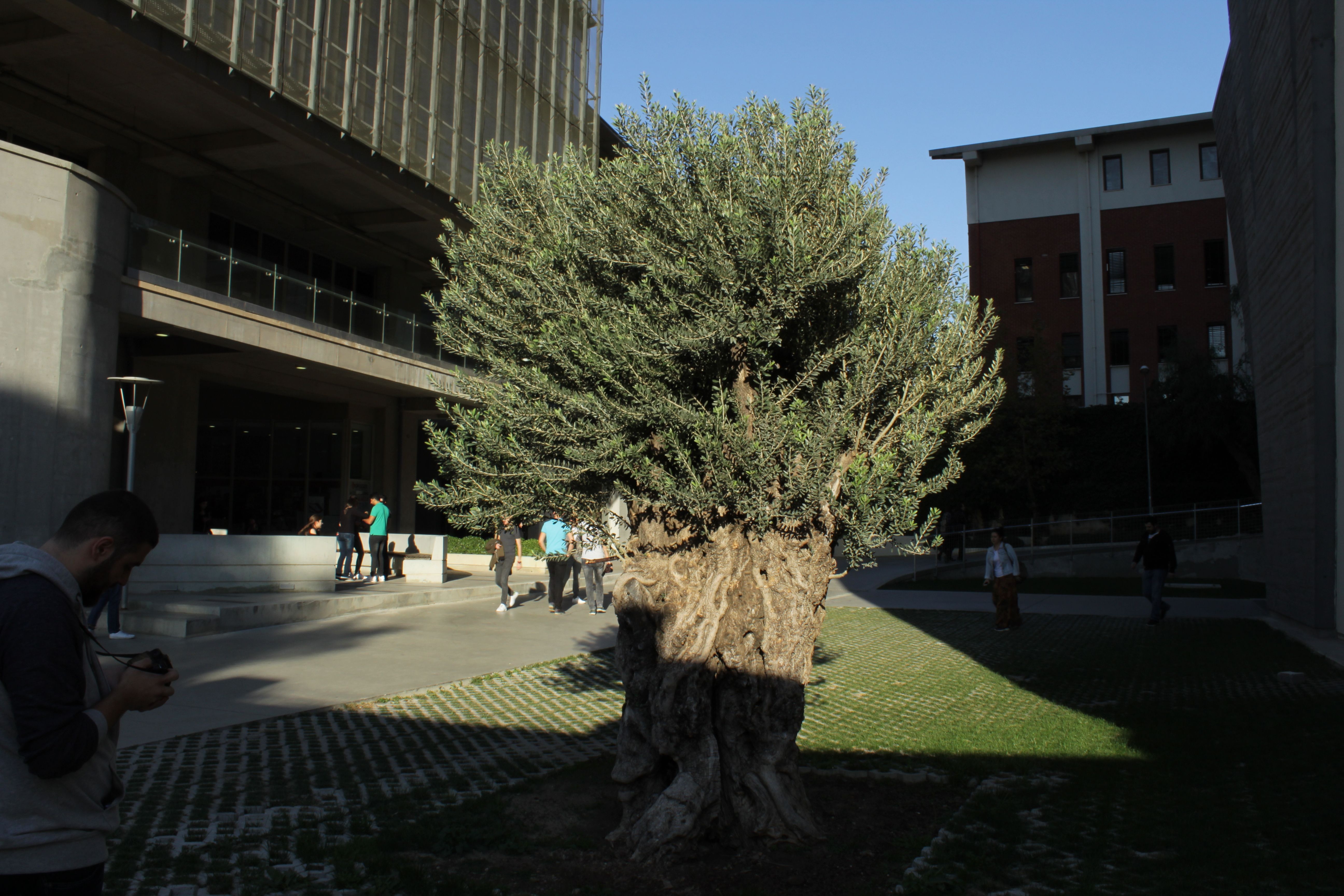 IMG_1164.JPG