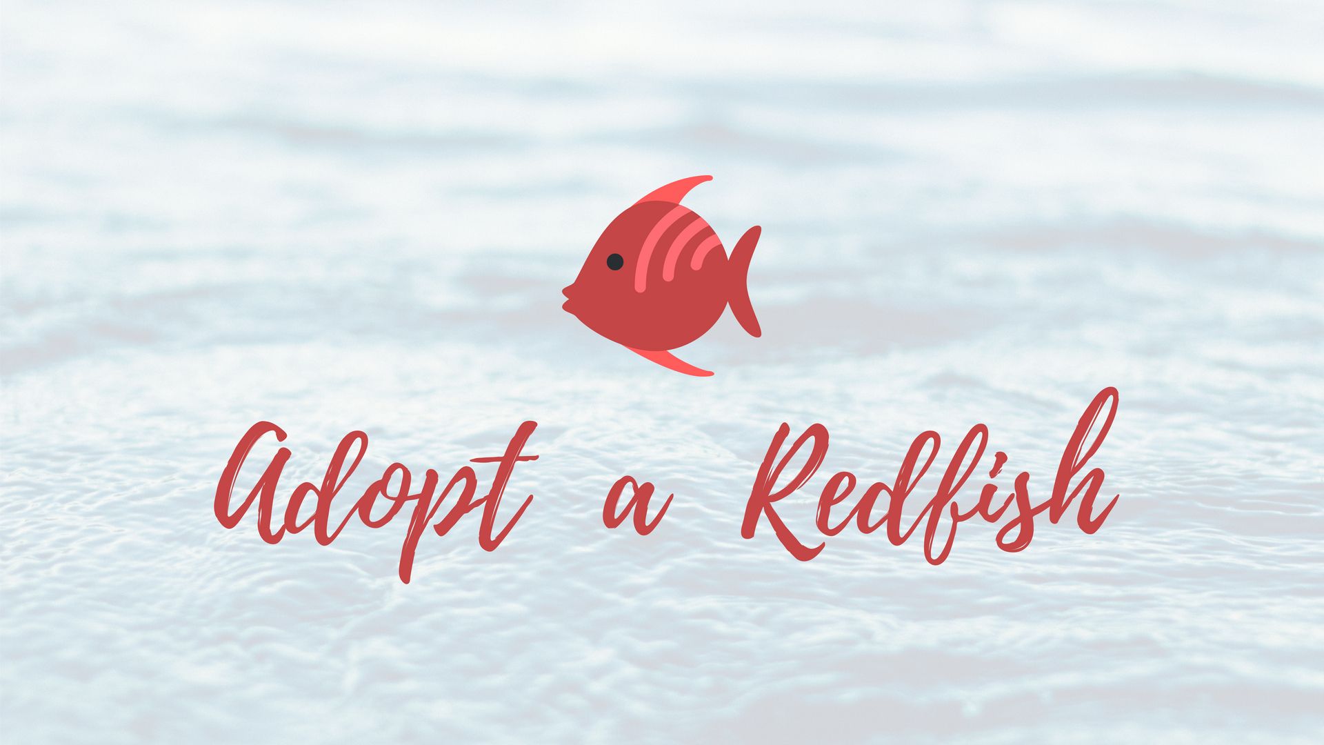 Adopt A Redfish.jpg