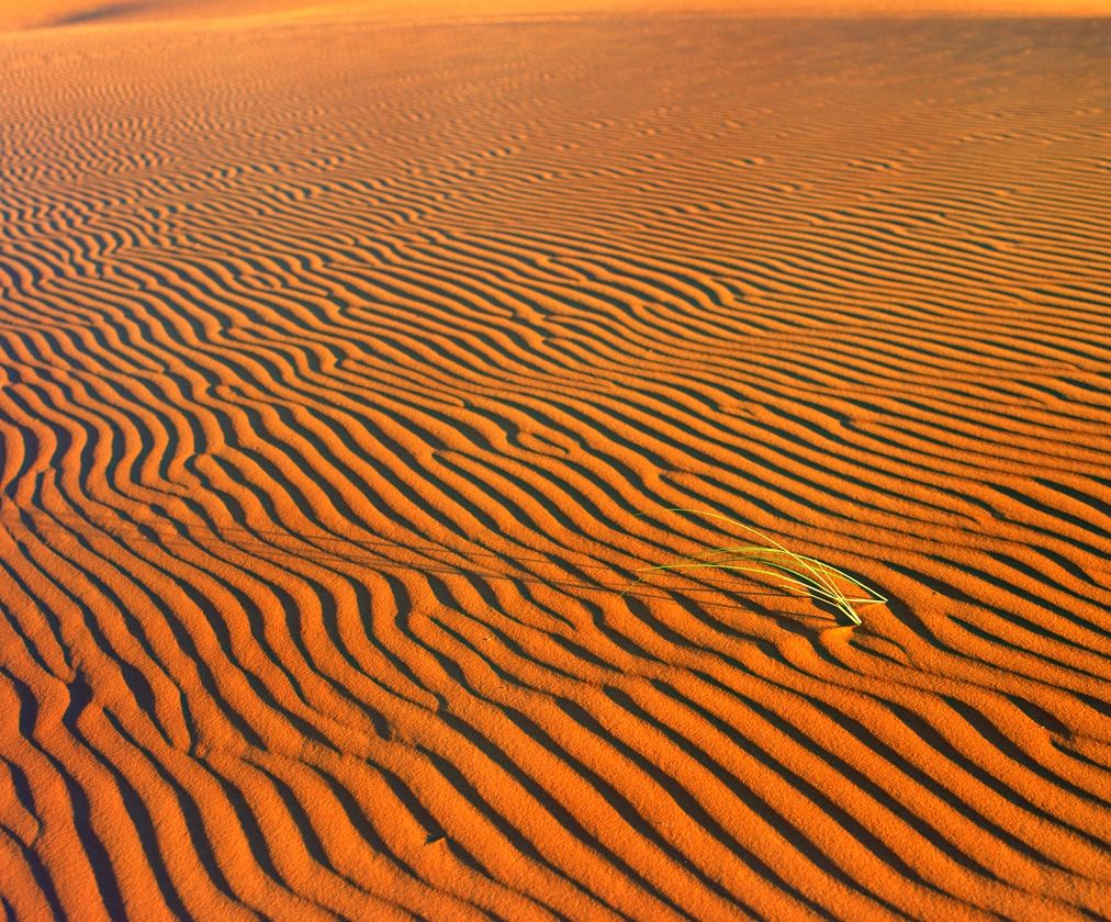 shadows on the sand 7x8.jpg