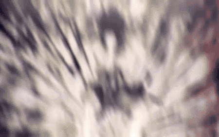 b856a2eda5be01512c3b71d335045fbb6bdf2a55_hq.gif