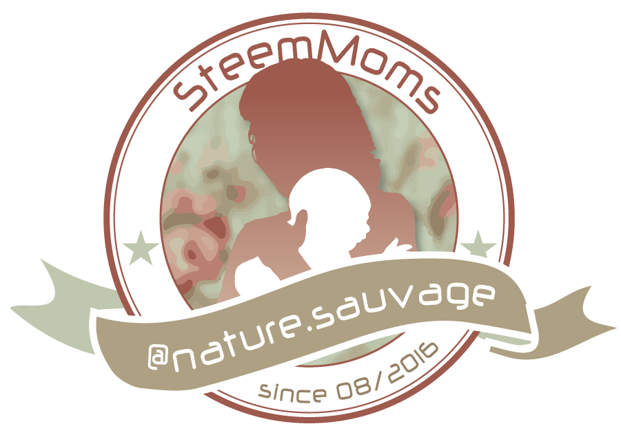 steemit-moms-naturesauvage-full.png