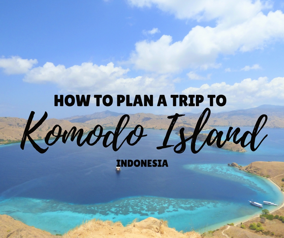 Komodo-Island-Travel-Guide.jpg