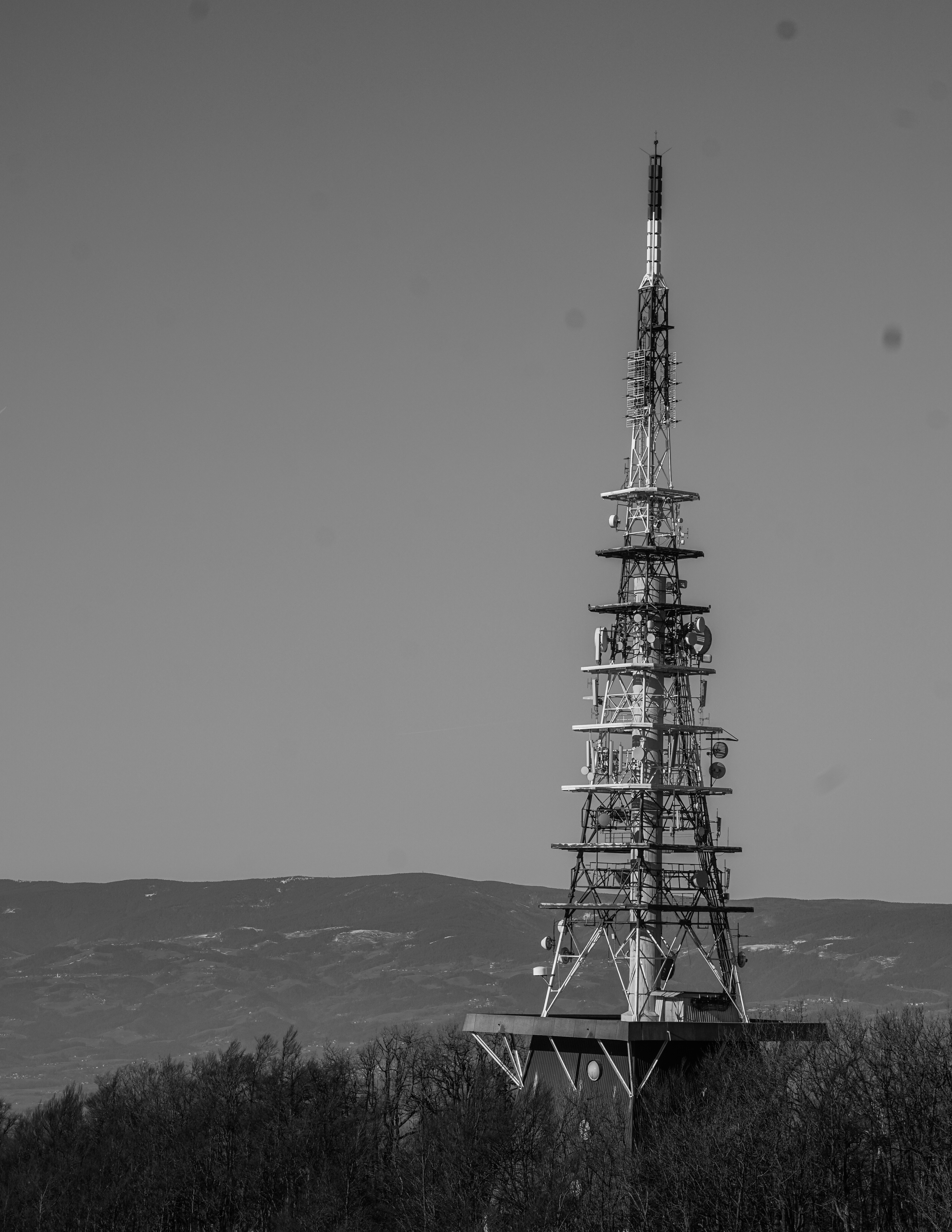 bozicbw-4.jpg