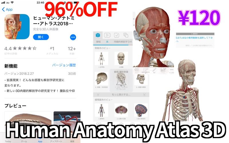 3d人体解剖図アプリを買ってみた I Purchased The Application Of 3d Human Anatomy Steemit