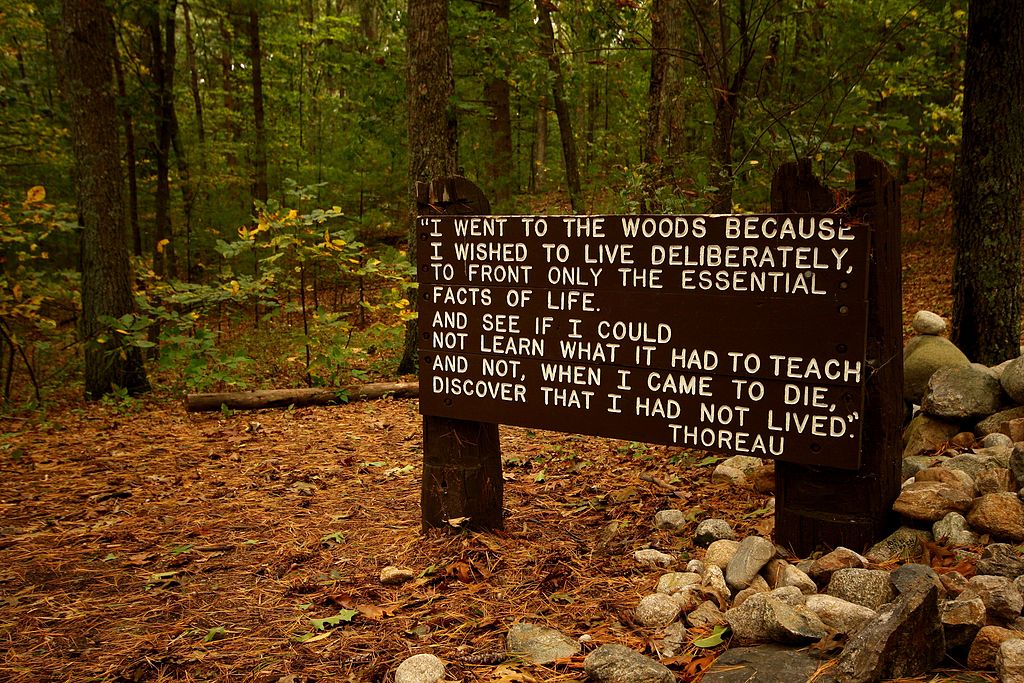 1024px-Thoreaus_quote_near_his_cabin_site,_Walden_Pond.jpg