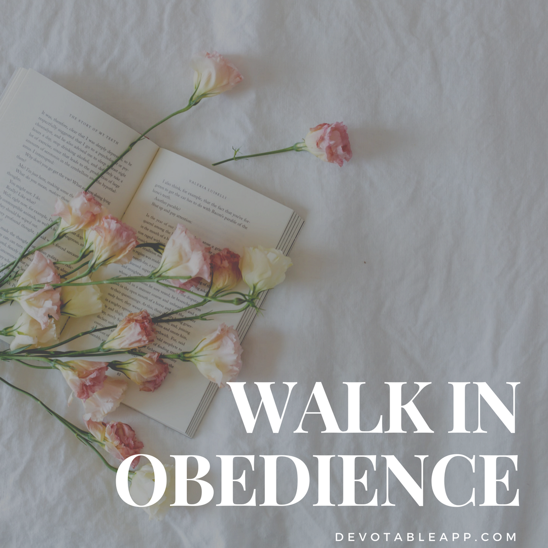 walk-in-obedience.png