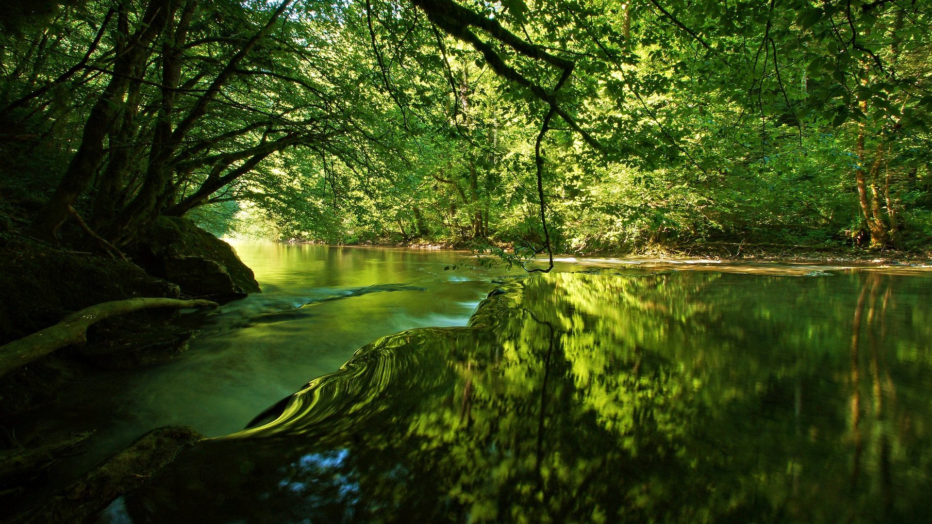 lakes-beauty-trees-lovely-splendor-peaceful-forest-woods-rivers-leaves-beautiful-stream-breath-reflection-shades-water-green-flow-nature-river-taking-tree-lake-sunset-wallpaper-1920x1080.jpg