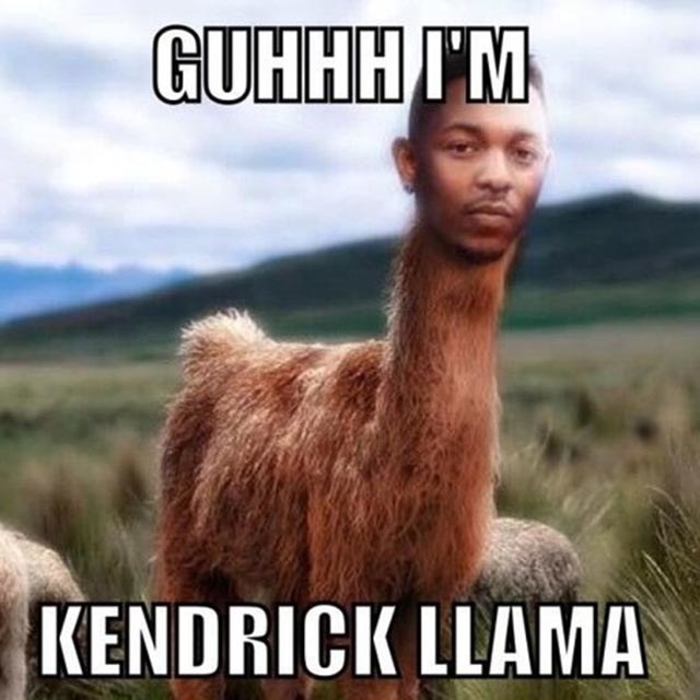 06-kendrick-llama-memes.jpg