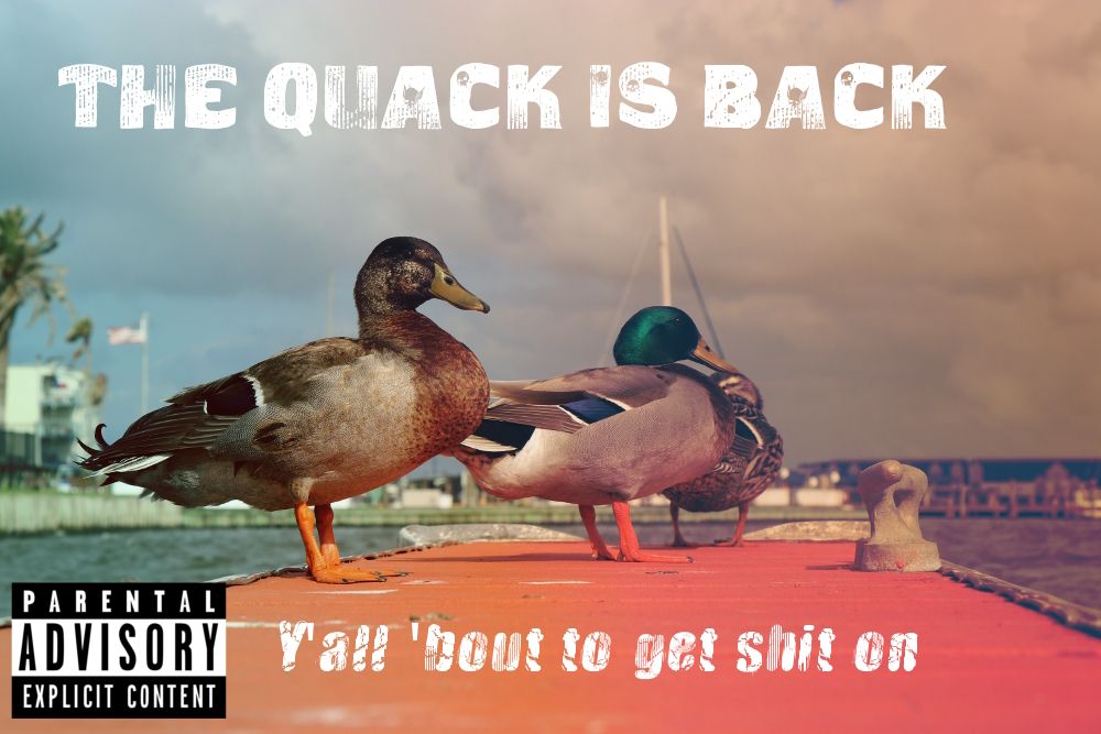 QuackIsBack.JPG