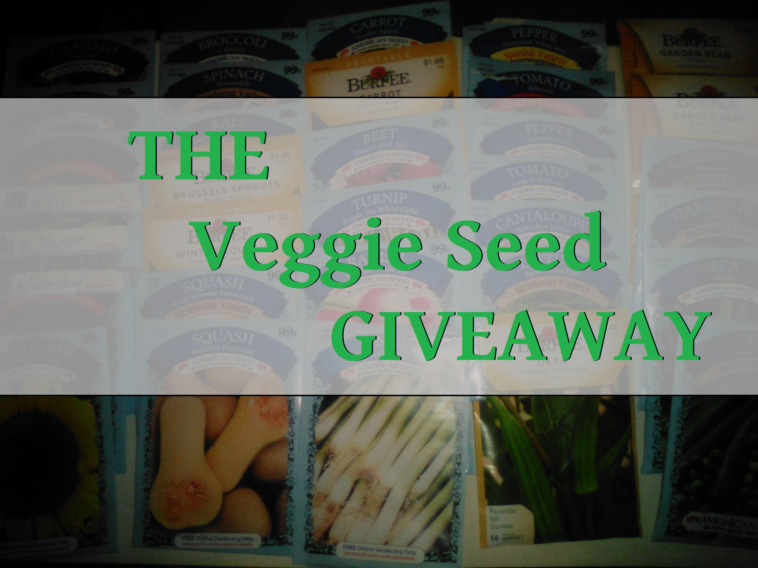 seed giveaway.jpg