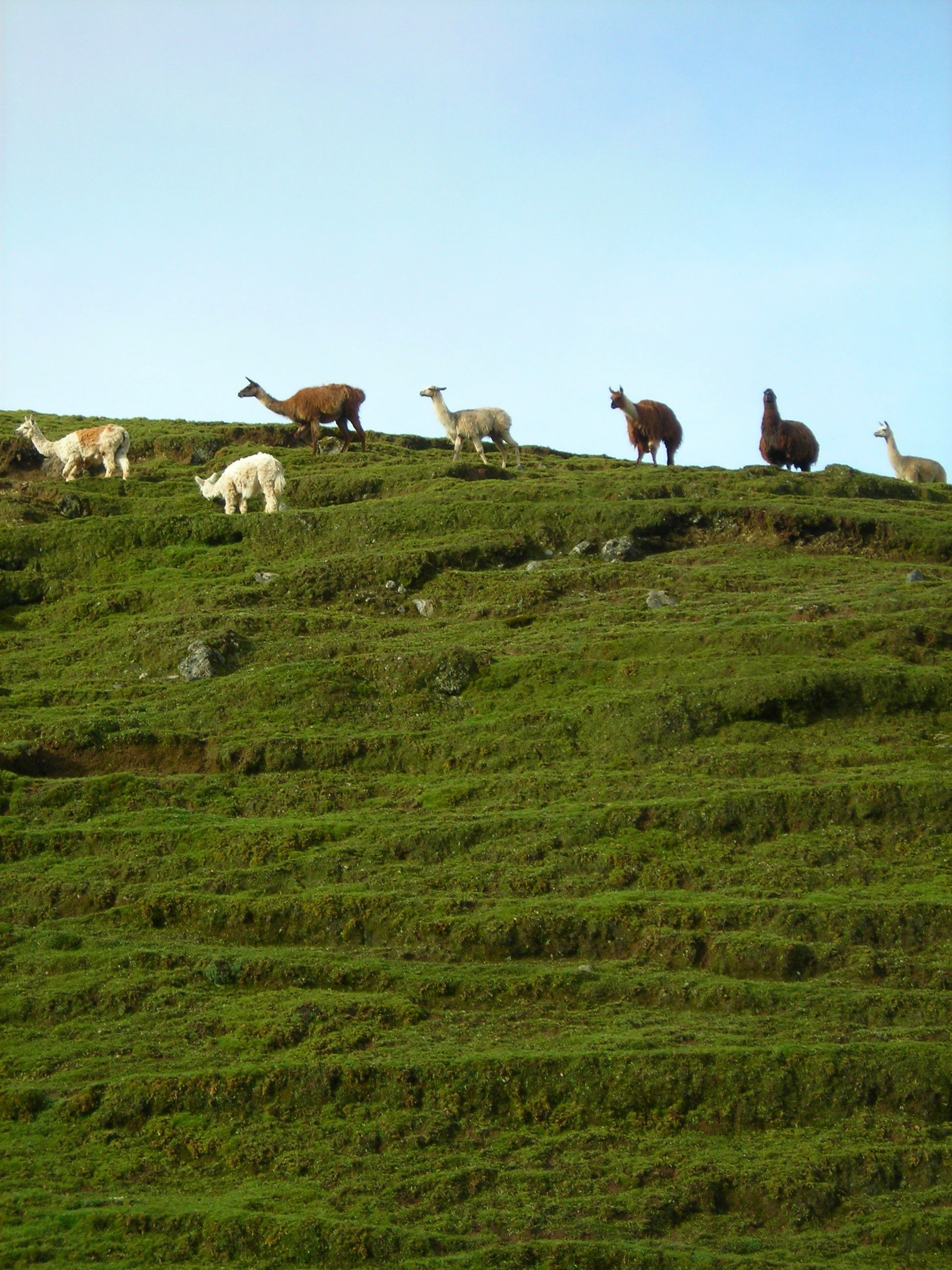 BXLM070126- 269 (2).jpg
