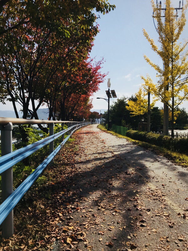 1508660483328.jpg