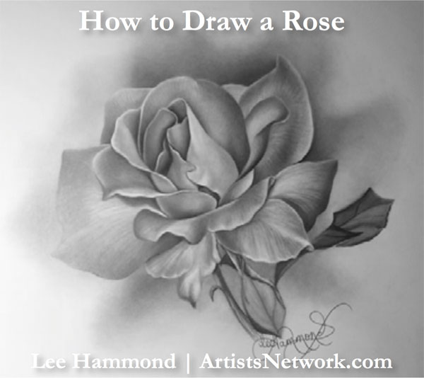 How to Draw a Rose for Beginners2.jpg