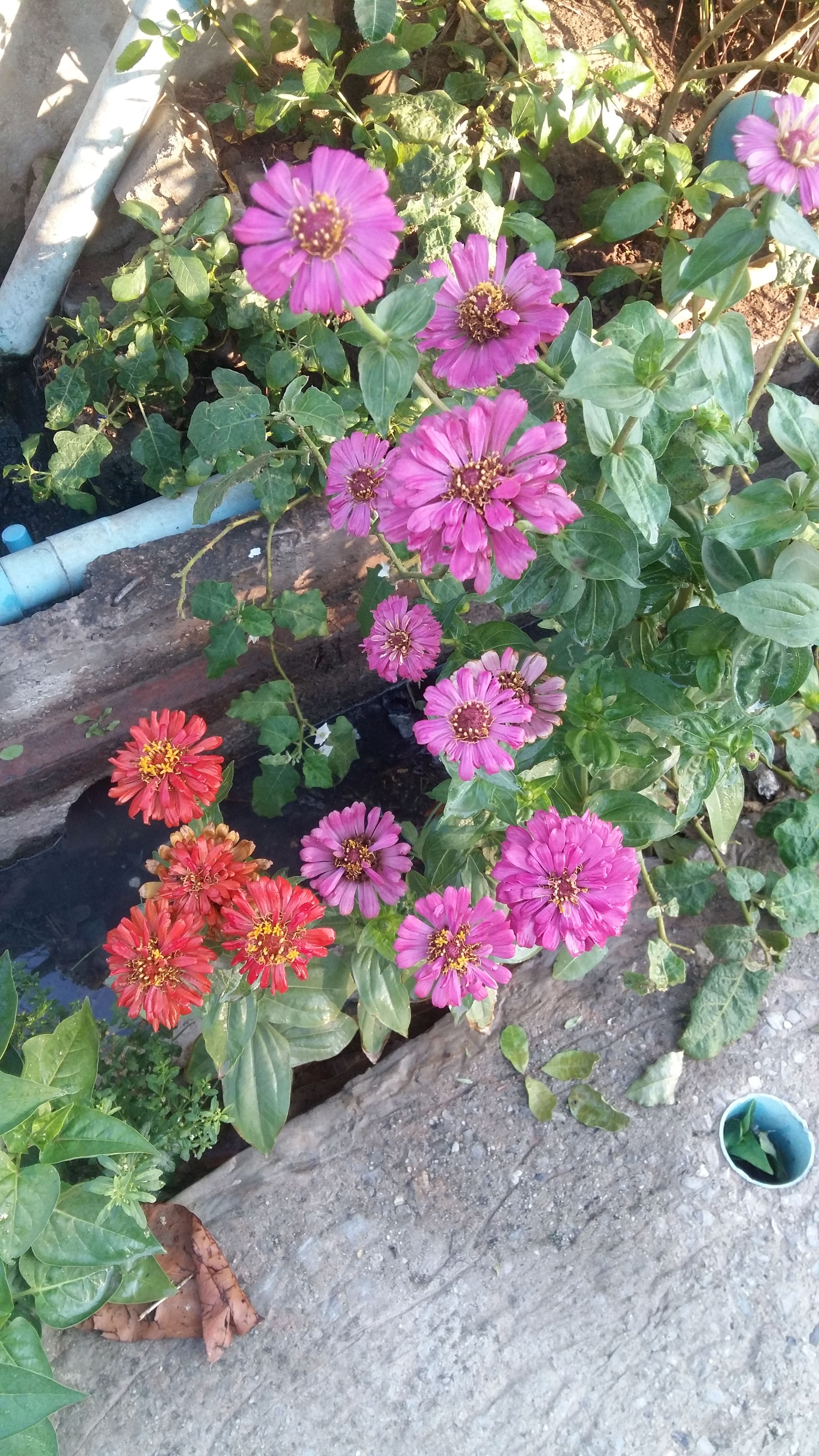 20180411_065508.jpg