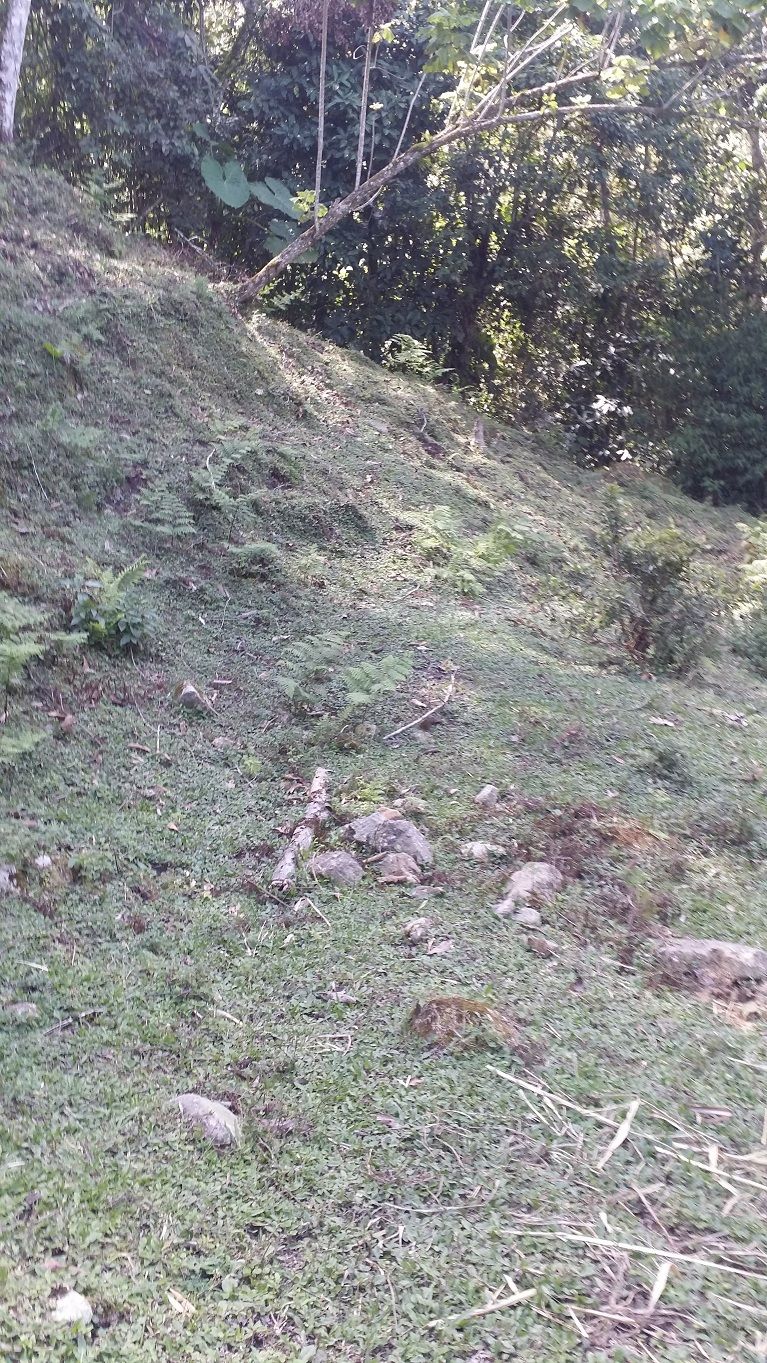 9 - Entering the andean humid forest nature reserve.jpg