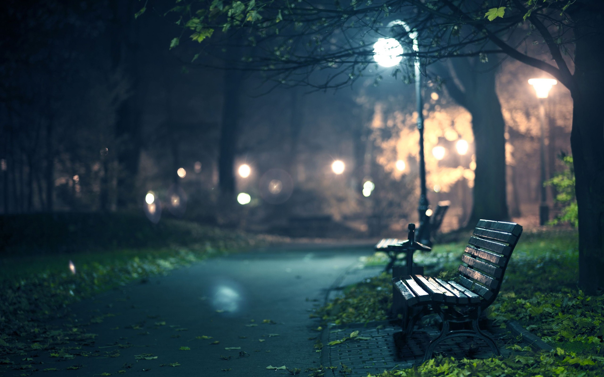 night-walk-park-hd-wallpaper.jpg