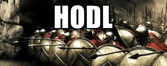 hodl-crypto-meme.jpg