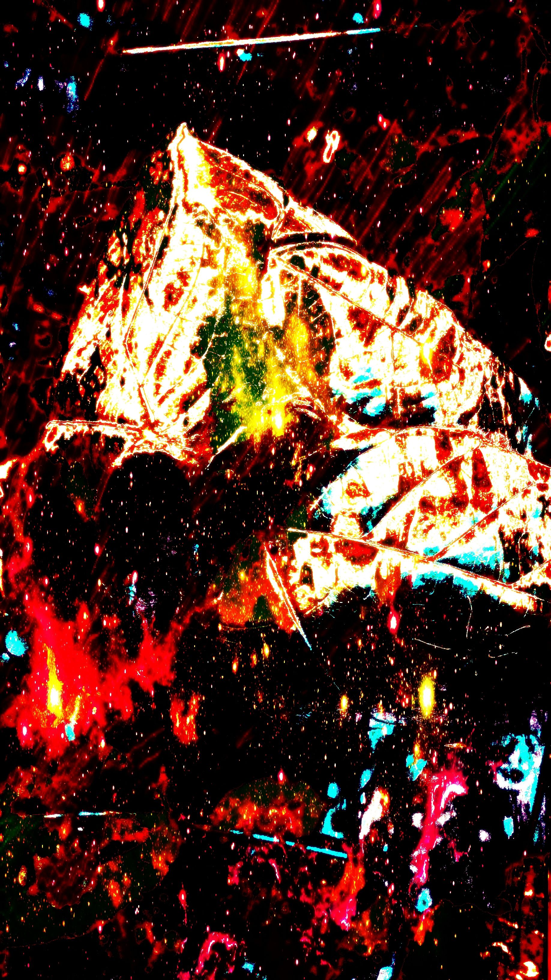 20171225_190017_20180108175248756.jpg