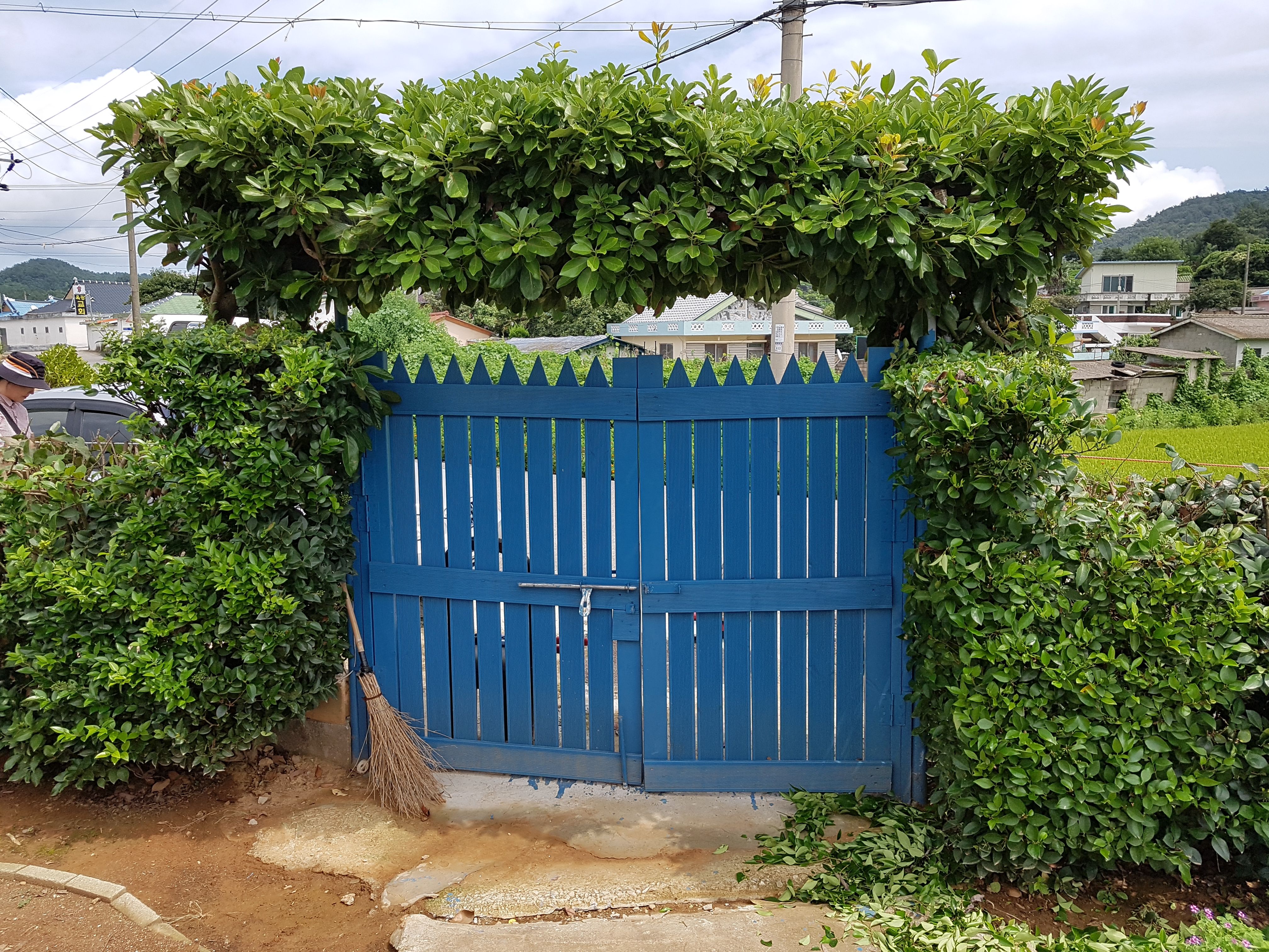 20170825_130212.jpg