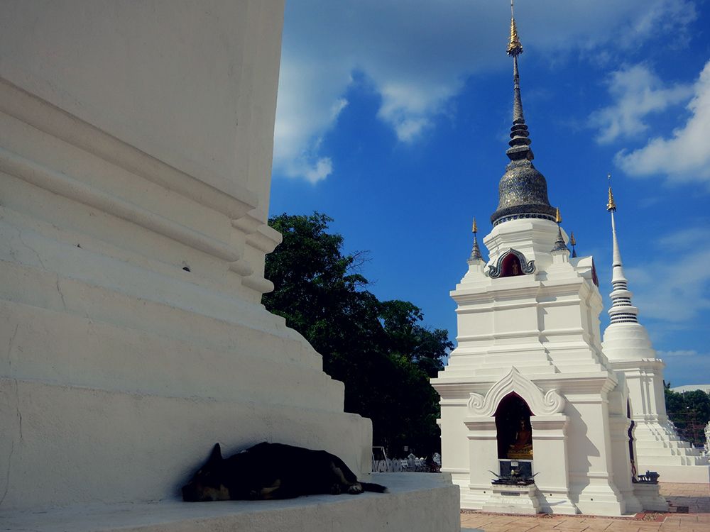 Wat Suan Dok Chiang Mai Thailand 8.jpg