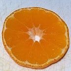 orange (2).jpg