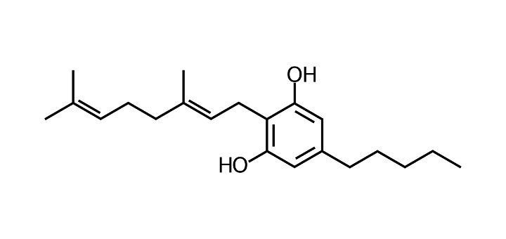 top-10-cannabinoids-and-what-they-do-cbg.jpg