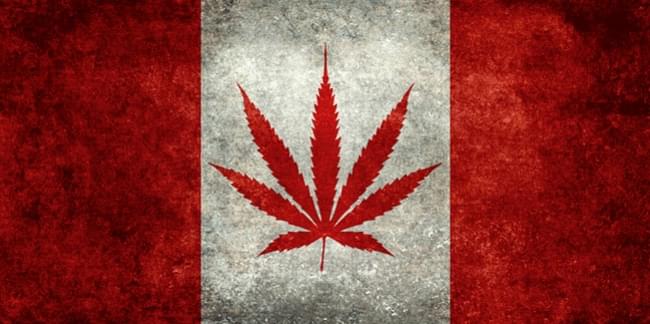 cannada cannabis.jpg