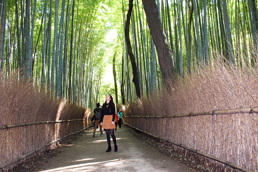 japan-landscape.jpg