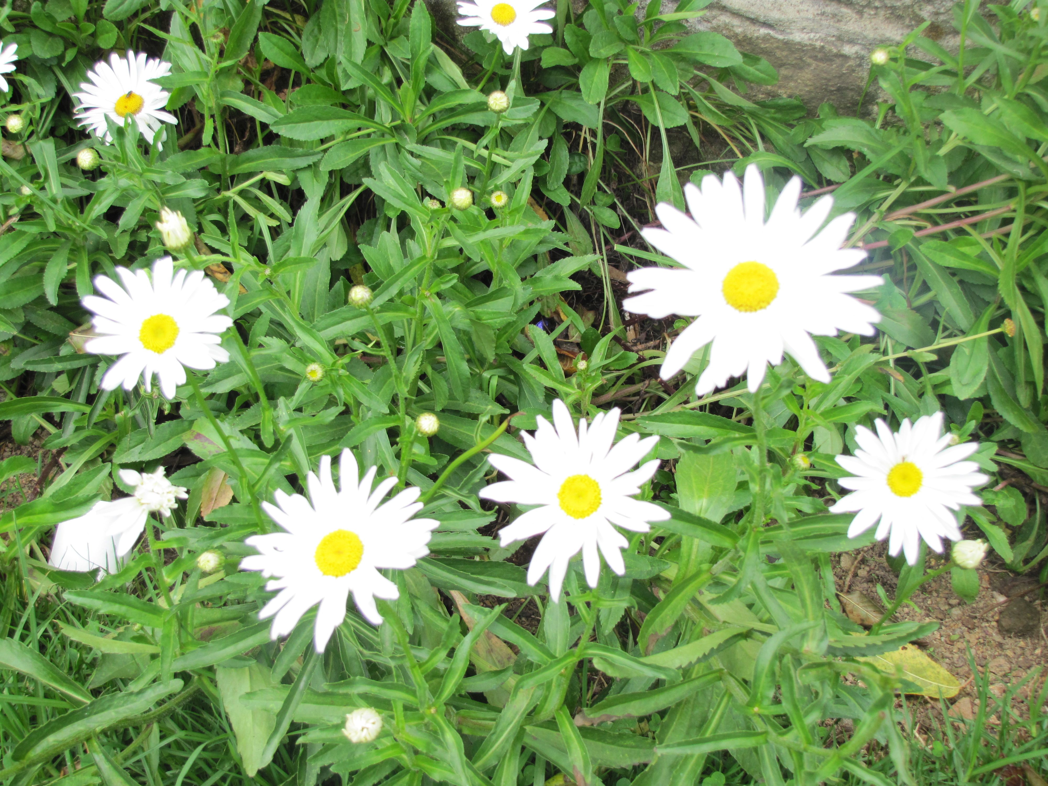 south trip 2013 620.jpg