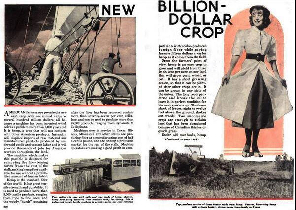 Billion Dollar Crop.jpg