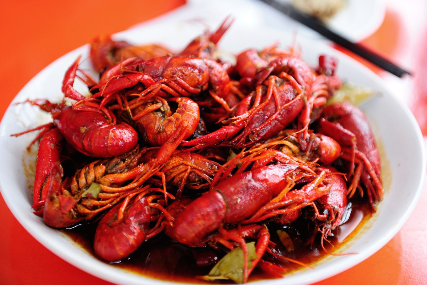 Spanish-Crayfish.jpg